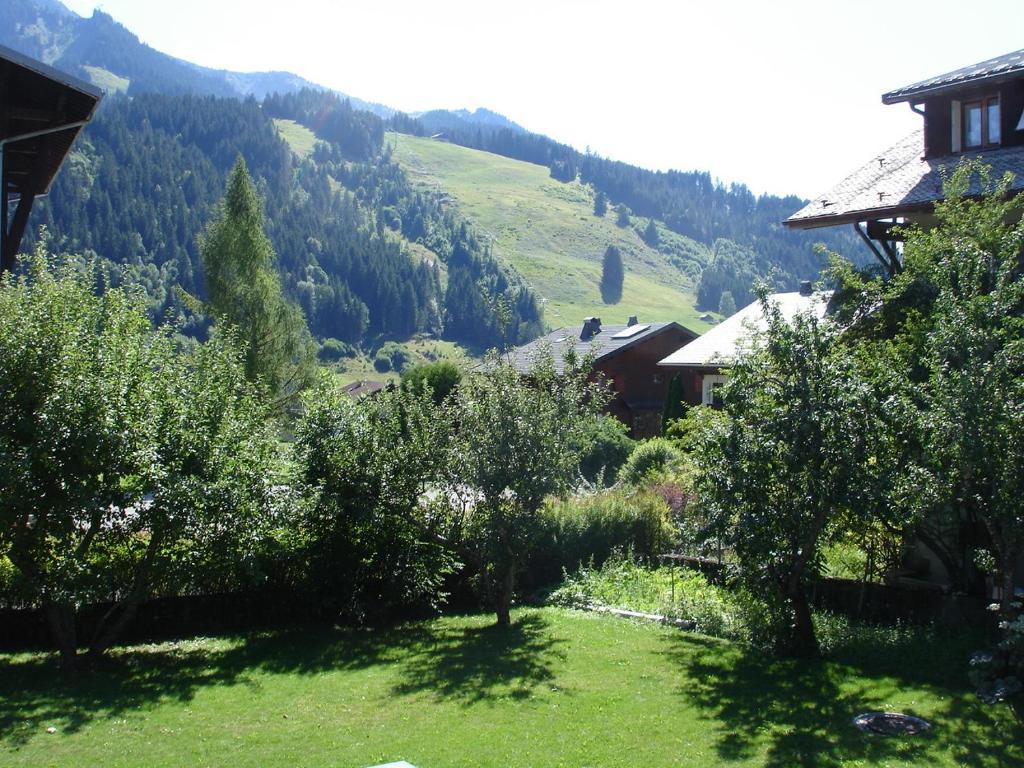 La Ferme Du Chateau Abondance المظهر الخارجي الصورة